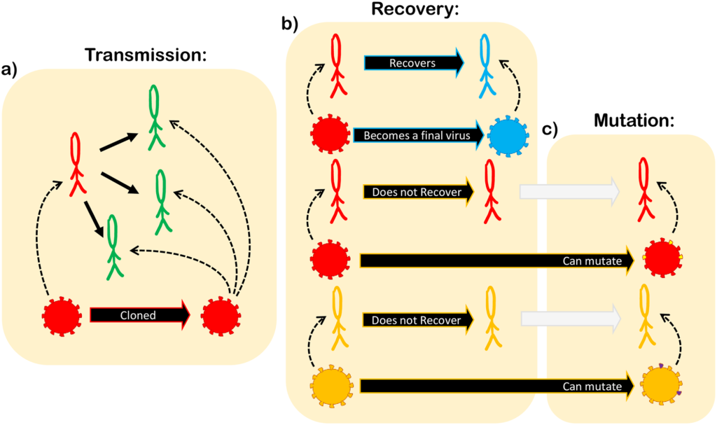 WHAT IS MATHEMATICAL MODELLING IN BIOLOGY visual data 8