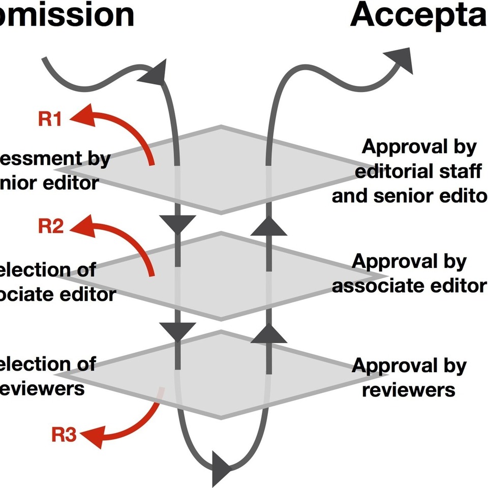 Editor s Picks Understanding The Gender Imbalance In STEM Fields