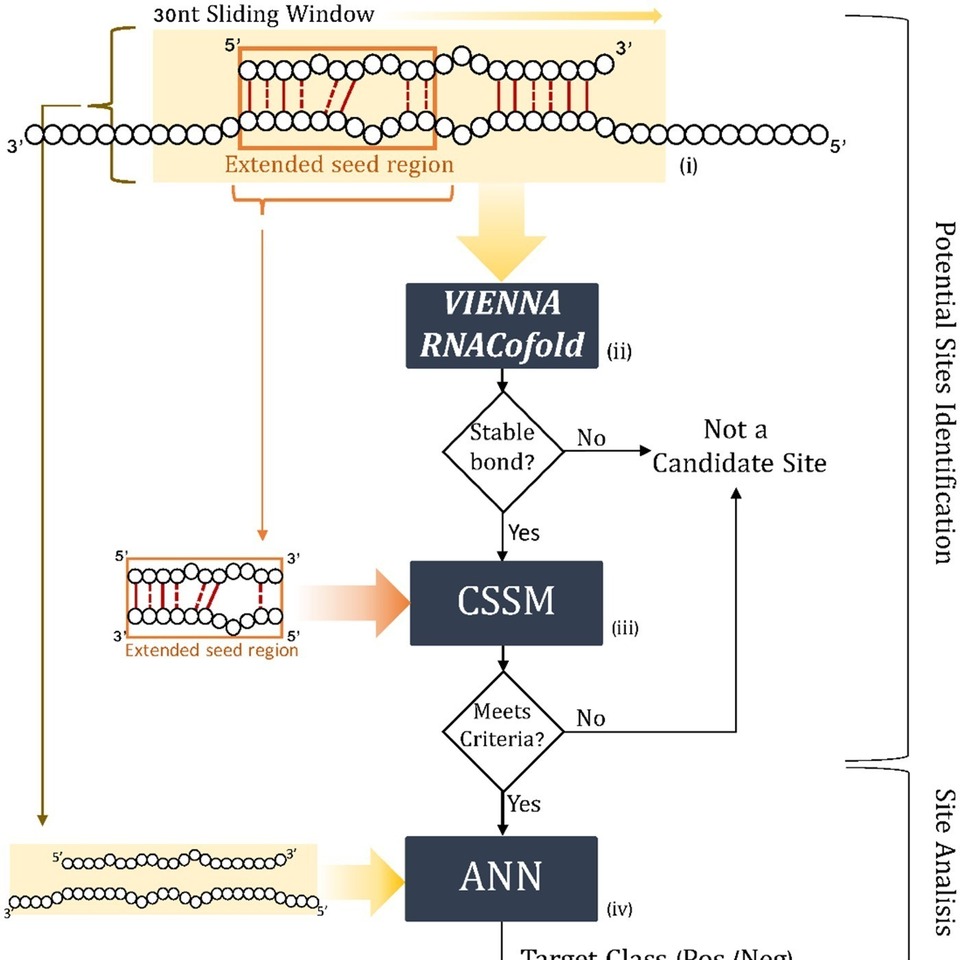 PLOS Computational Biology: Methods - PLOS Collections