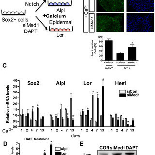 ’Omics of Cellular Signaling Pathways - PLOS Collections
