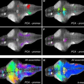 PLOS Computational Biology: Software - PLOS Collections