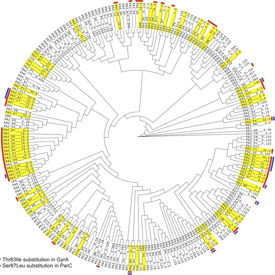 PLOS Computational Biology: Methods - PLOS Collections