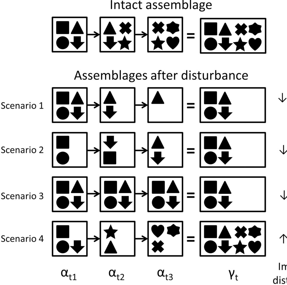 Urban Ecology PLOS Collections